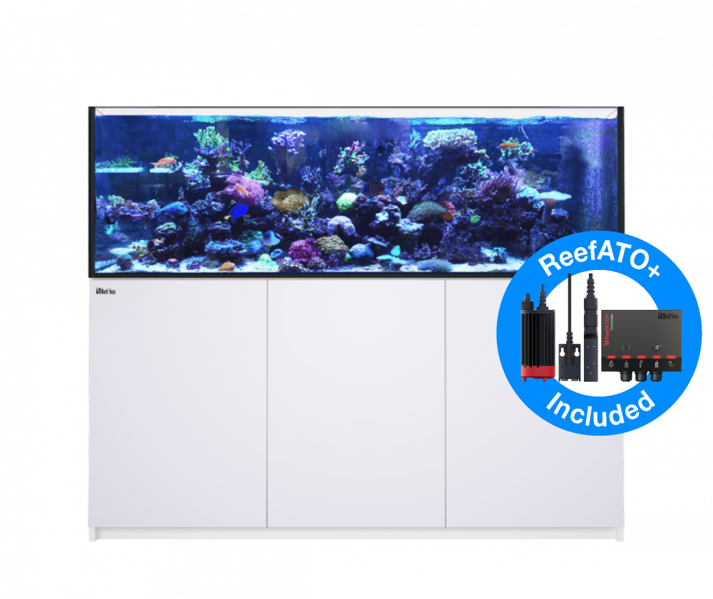 Red Sea Reefer 750 G2+ Meerwasseraquarium Komplettset